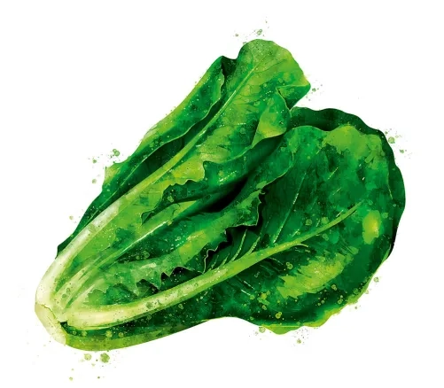 Salat Gesundheitsbomben